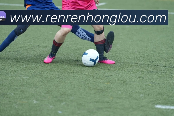 世界杯官网登录appAPP 封面图