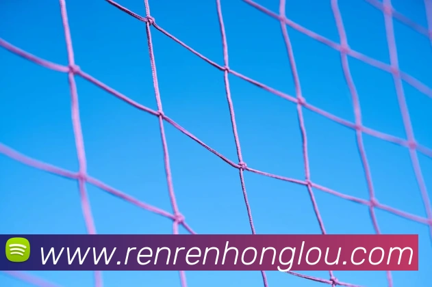 数据防护可视化